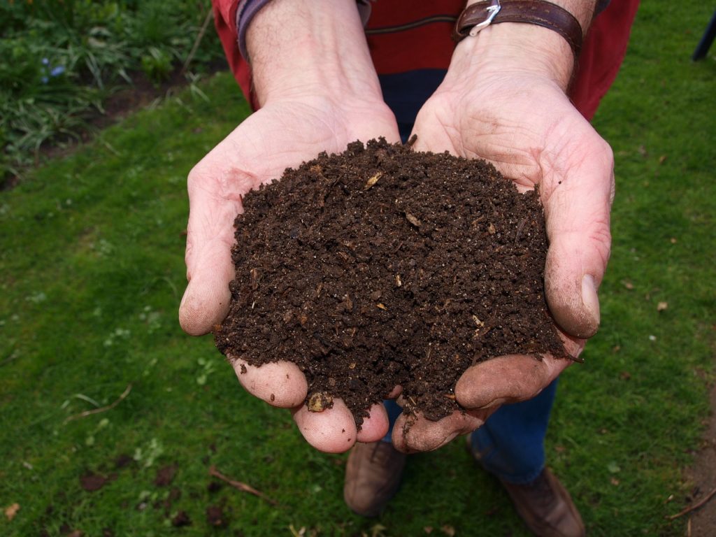 DIY Compost Bin + Backyard Composting 101 - Live Free Creative Co