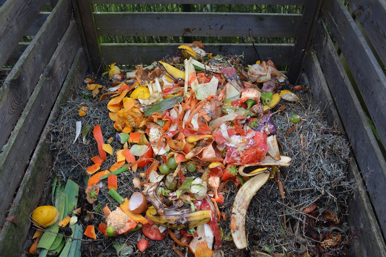 DIY Compost Bin + Backyard Composting 101 - Live Free Creative Co